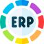 010-erp
